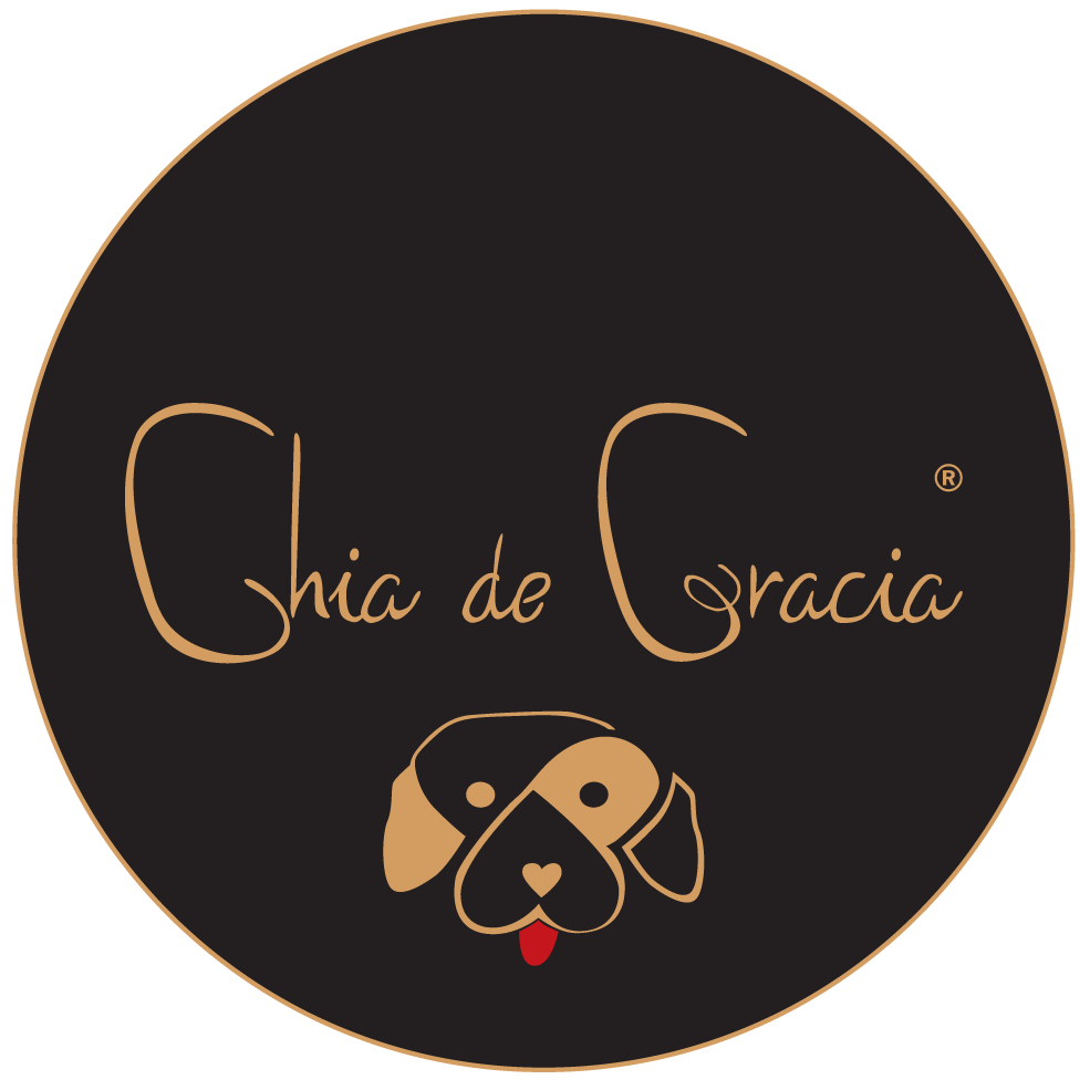 MSM-jauhe 650 g koirille , CdG Dogs (6194437718211)
